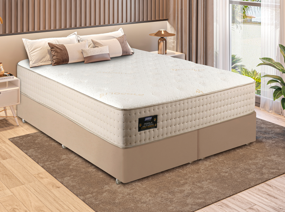 large_FOTOS_SITE_2025_9_3d890a